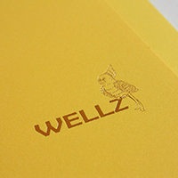 WELLZ 　WEB制作・デザイン 様